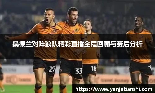 桑德兰对阵狼队精彩直播全程回顾与赛后分析